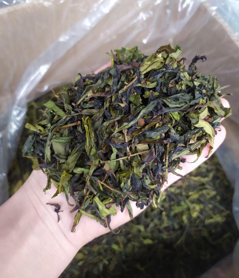 八仙茶潮汕大坪土山茶八仙茶叶清香型高山茶叶1斤诏安八仙茶