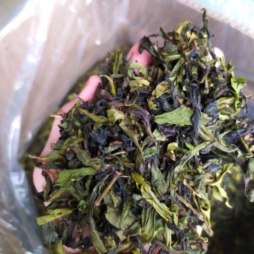 八仙茶潮汕大坪土山茶八仙茶叶清香型高山茶叶1斤诏安八仙茶
