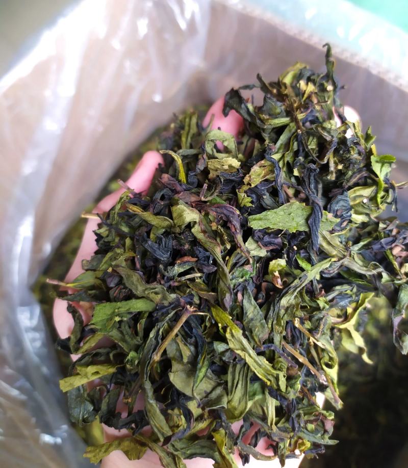 八仙茶潮汕大坪土山茶八仙茶叶清香型高山茶叶1斤诏安八仙茶