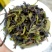 八仙茶潮汕大坪土山茶八仙茶叶清香型高山茶叶1斤诏安八仙茶
