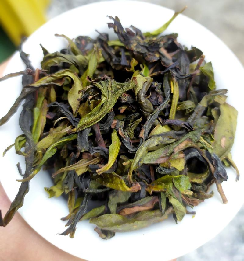 八仙茶潮汕大坪土山茶八仙茶叶清香型高山茶叶1斤诏安八仙茶