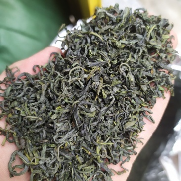 浙江绿茶高山云雾茶清香绿茶杭州茶叶茶绿茶云雾茶1斤雨前绿