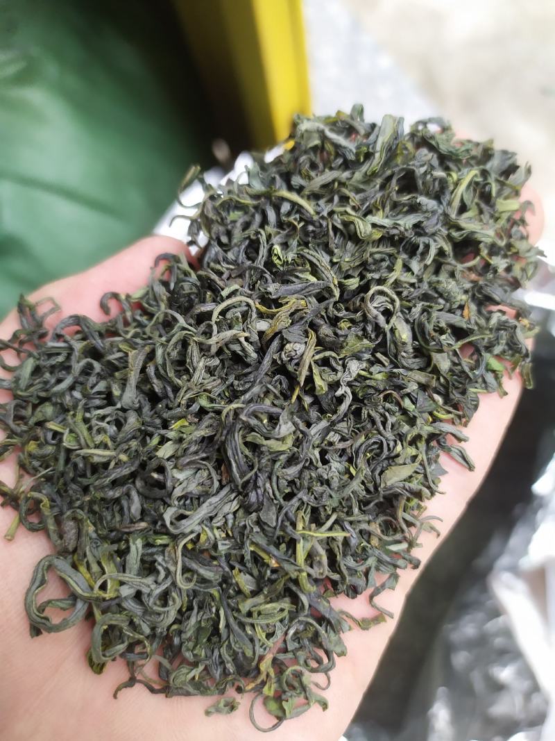 浙江绿茶高山云雾茶清香绿茶杭州茶叶茶绿茶云雾茶1斤雨前绿
