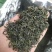 浙江绿茶高山云雾茶清香绿茶杭州茶叶茶绿茶云雾茶1斤雨前绿