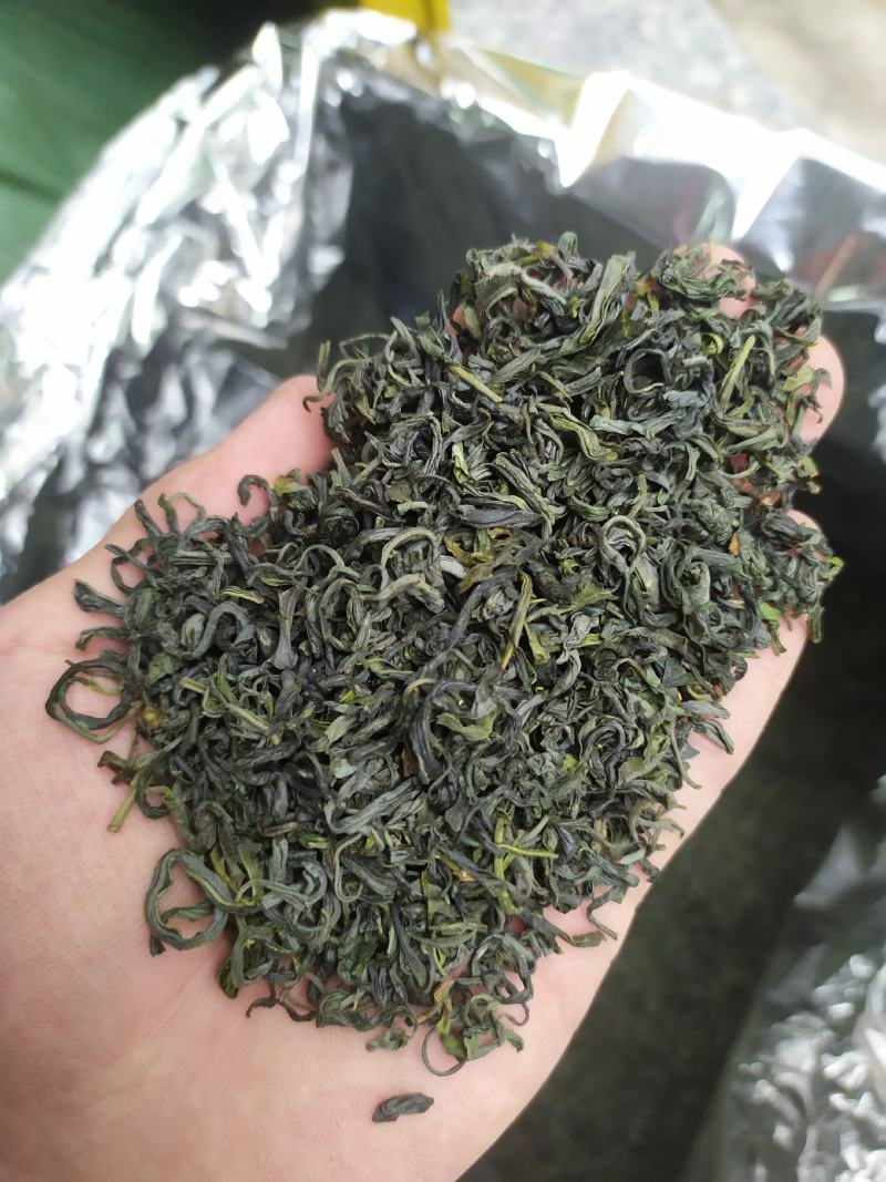 浙江绿茶高山云雾茶清香绿茶杭州茶叶茶绿茶云雾茶1斤雨前绿