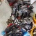 纯散养的纯种乌鸡手工屠宰真空急冻一年以上养殖