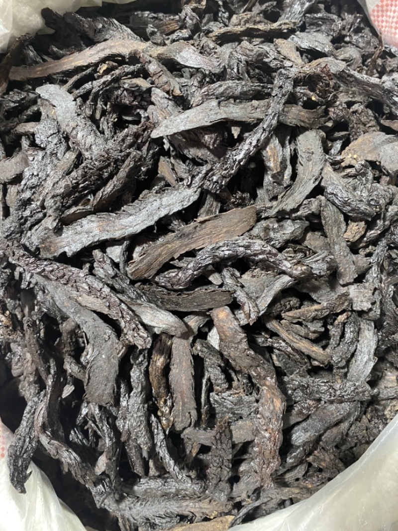 制种植肉苁蓉