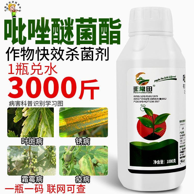 吡唑醚菌酯农药杀菌剂叶斑病白粉病霜霉病炭疽病灰霉病晚疫病
