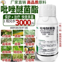 吡唑醚菌酯农药杀菌剂叶斑病白粉病霜霉病炭疽病灰霉病晚疫病