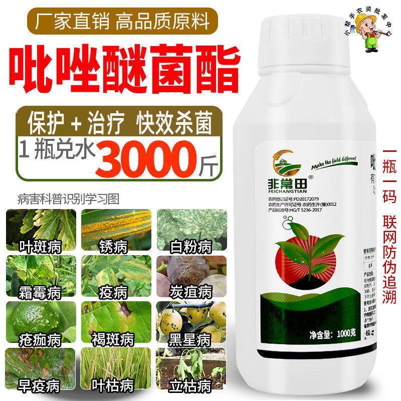 吡唑醚菌酯农药杀菌剂叶斑病白粉病霜霉病炭疽病灰霉病晚疫病