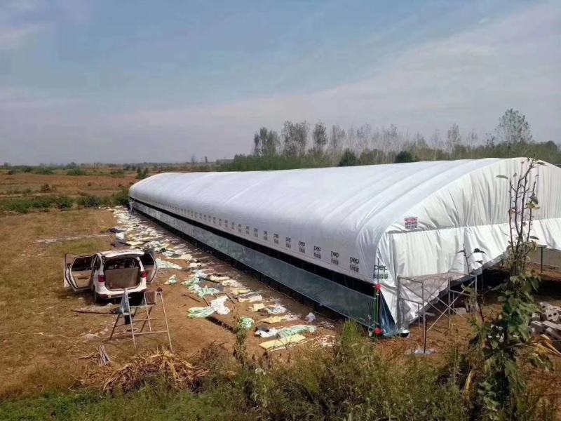 结实耐用养殖钢架大棚隔热还保温也可改为种植棚上门安装