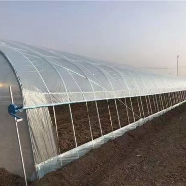 结实耐用养殖钢架大棚隔热还保温也可改为种植棚上门安装