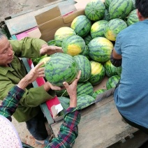 甜王西瓜基地，大量上市中，欢迎老板现场看质，来电了解