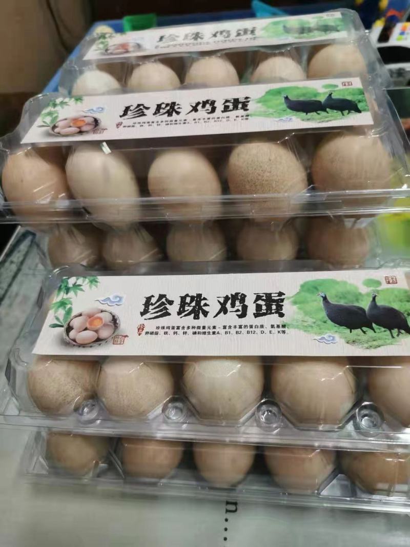 珍珠鸡种蛋，专业人工受精80以上，种蛋受精高孵化专用