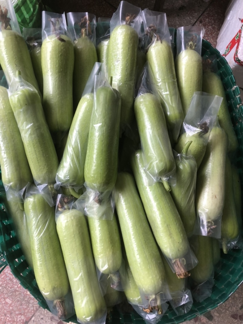 白玉奶油丝瓜，看上的老板滴滴我………………