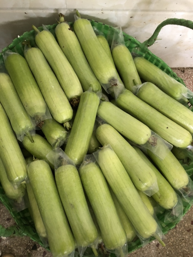 白玉奶油丝瓜，看上的老板滴滴我………………