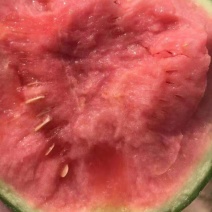 西瓜，美都西瓜，砀山万亩西瓜大量上市，一手货源，。，