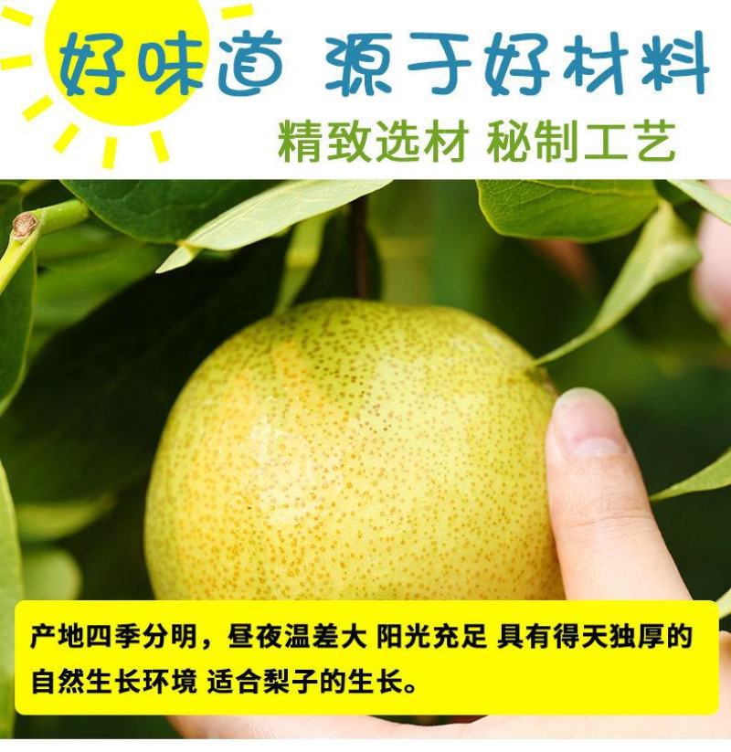 【产地】梨干雪梨片新货甜梨干雪梨圈梨片泡水水果干包邮