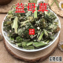 云南野生中药材益母草生理期选择500g包邮