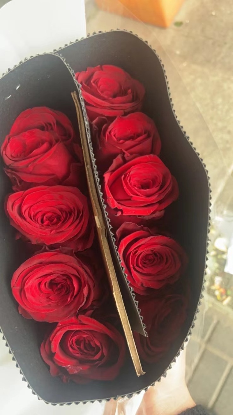 云南鲜花玫瑰花鲜切花基地玫瑰批发一件代发昆明玫瑰直发