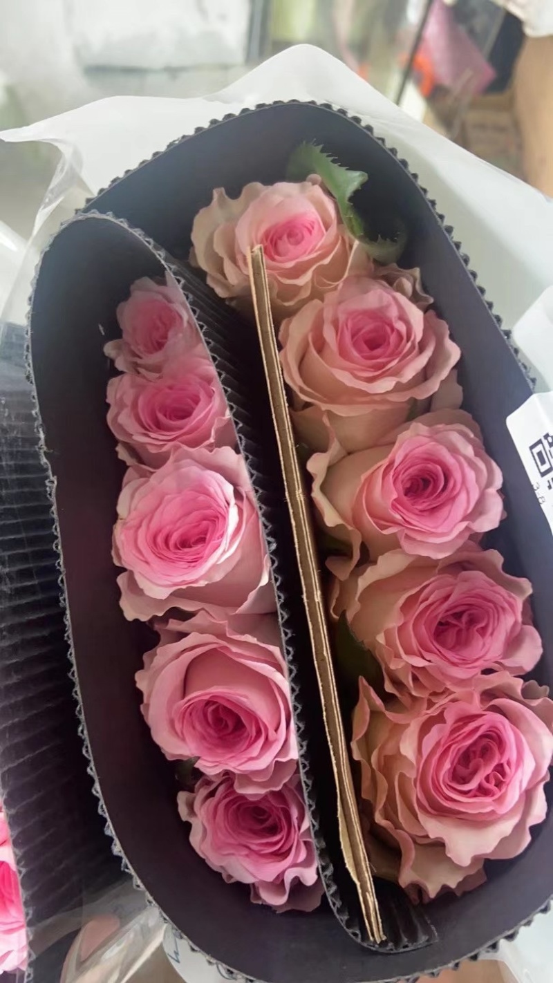 云南鲜花玫瑰花鲜切花基地玫瑰批发一件代发昆明玫瑰直发