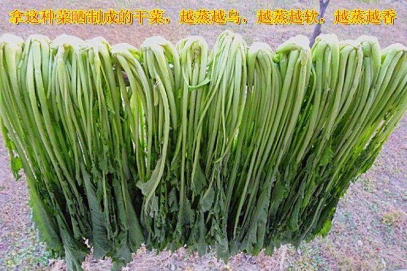 土特产梅干菜干货梅菜干农家霉干菜梅菜扣肉的梅菜超值包邮