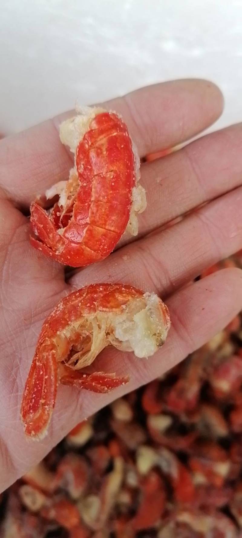 纯干龙虾尾