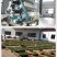 （包邮）绿茶2024年新茶500g高山云雾散装香茶袋装