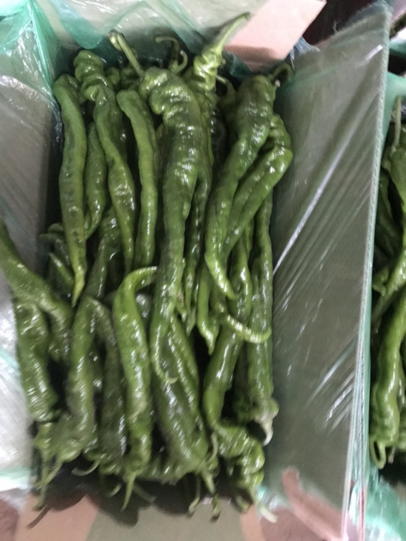 精品螺丝椒