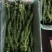 精品螺丝椒