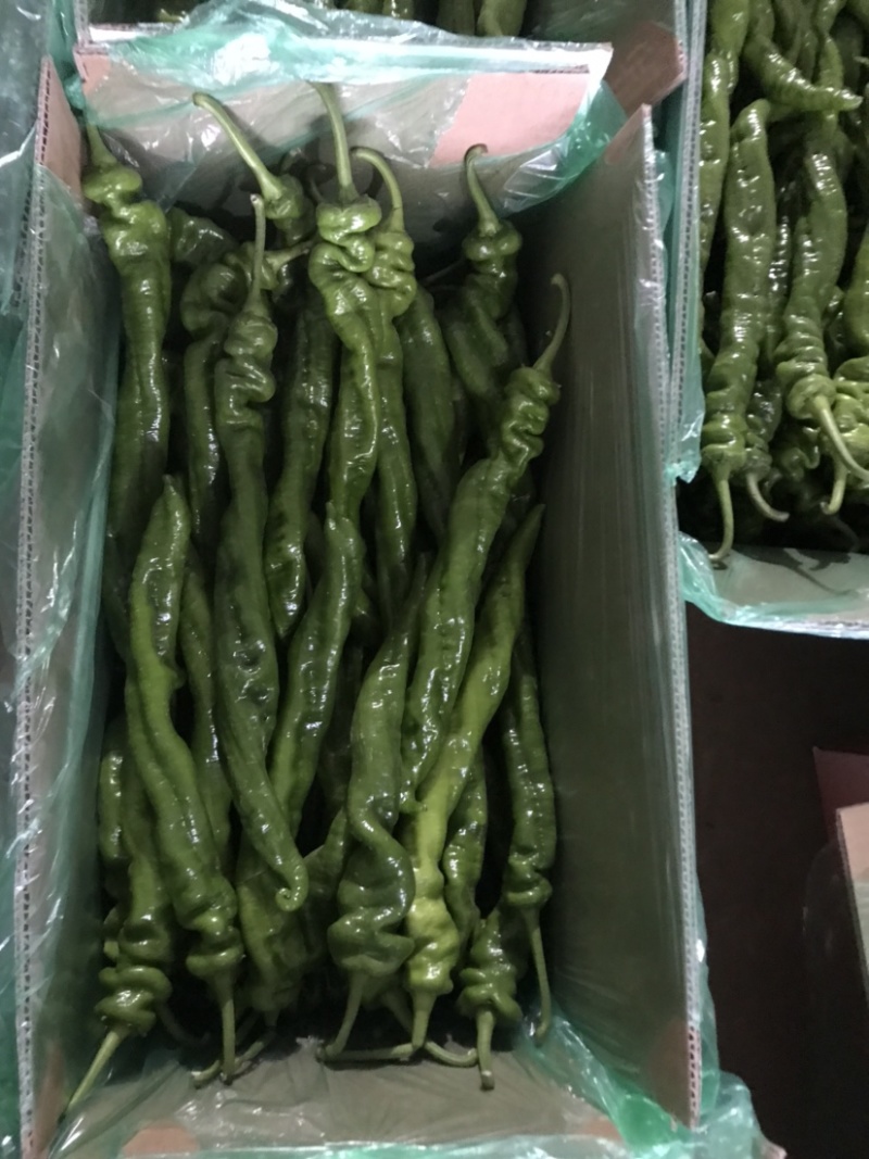 精品螺丝椒