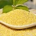 22年包粽子大黄米粘米红黍子米粘豆包端午节粽子