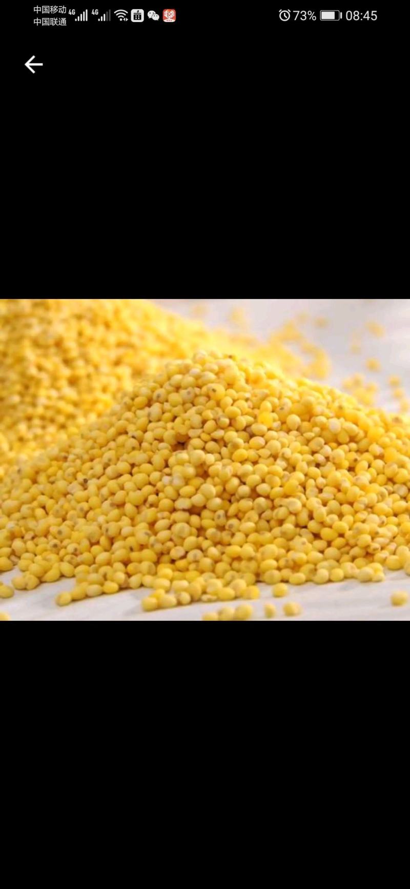 22年包粽子大黄米粘米红黍子米粘豆包端午节粽子