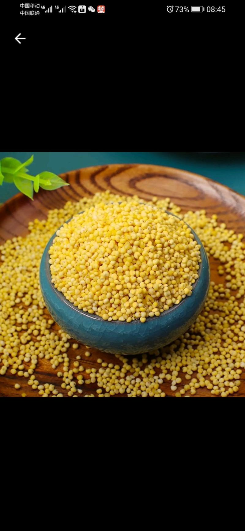 22年包粽子大黄米粘米红黍子米粘豆包端午节粽子