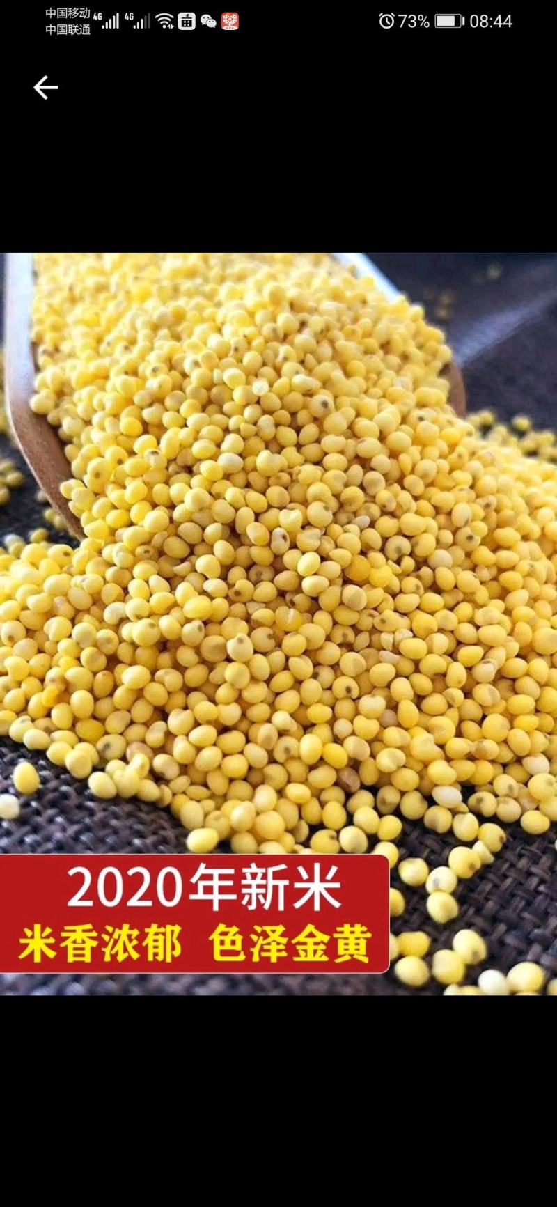22年包粽子大黄米粘米红黍子米粘豆包端午节粽子