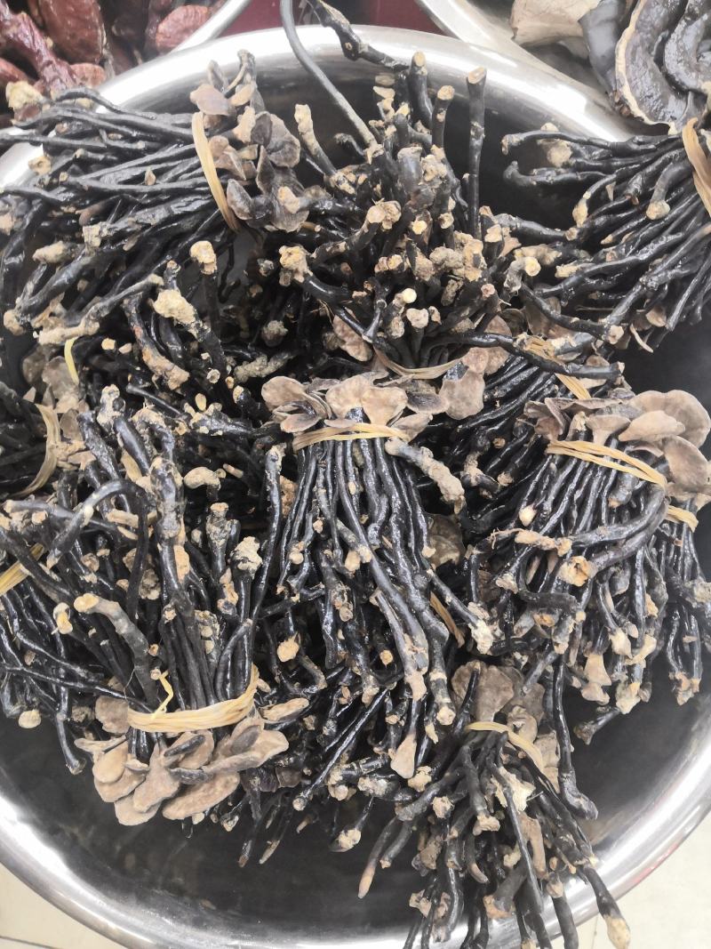 无流黑灵芝各种规格灵芝新货大货批发