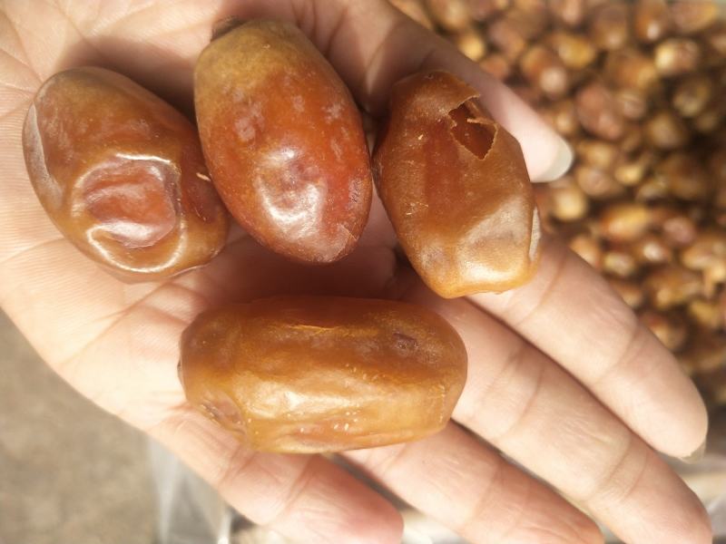 香甜软糯伊拉克黄金椰枣个大饱满大量供应