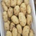 青岛胶州冷库荷兰士豆大量出库，质量保证，全国发