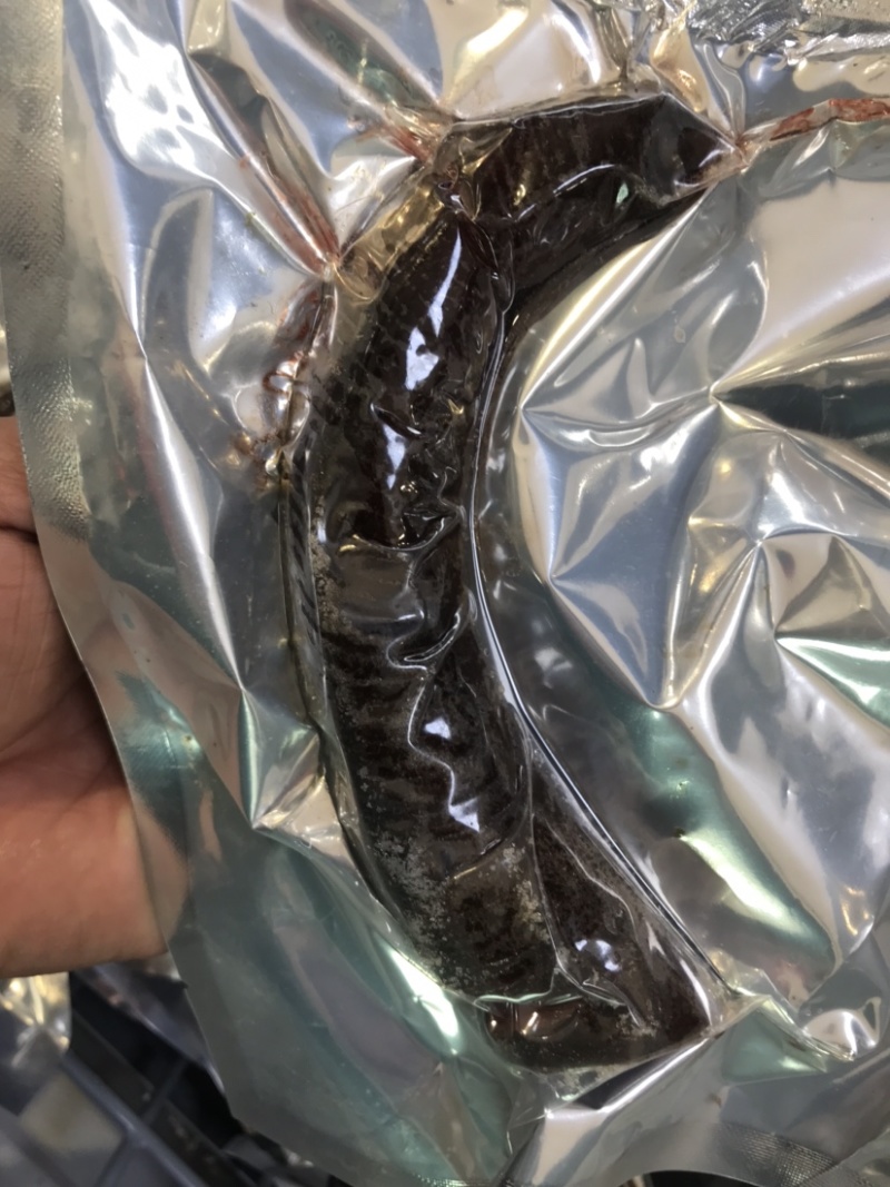 【鲜鹿茸】鹿场直发新鲜梅花鹿茸地产中药材批发