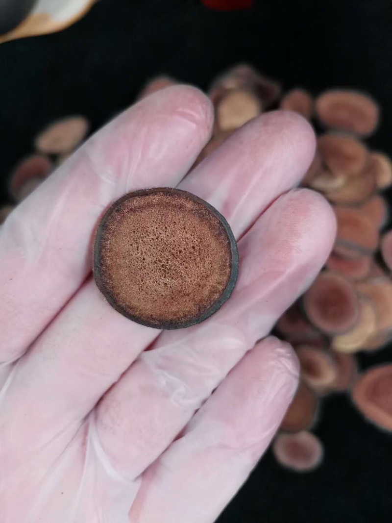 【干鹿茸片】鹿场直供梅花鹿茸片干鹿茸粉片鹿茸腊片