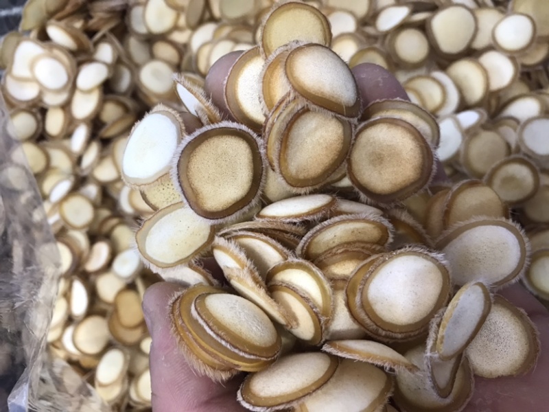 【干鹿茸片】鹿场直供梅花鹿茸片干鹿茸粉片鹿茸腊片