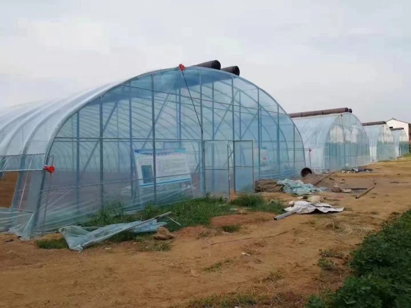 种植型大棚简易插地棚半坡型暖棚拱形暖棚