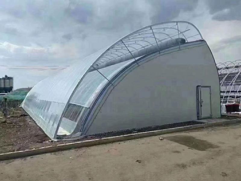 种植型大棚简易插地棚半坡型暖棚拱形暖棚