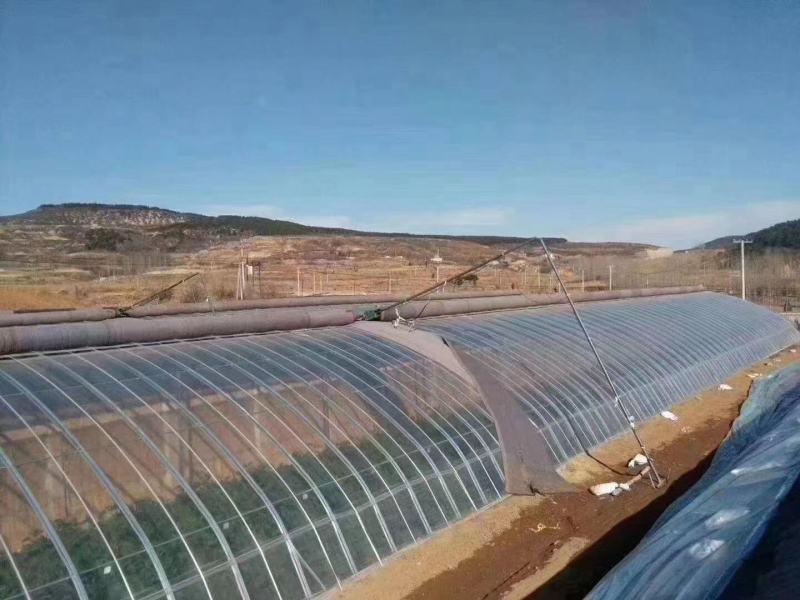 种植型大棚简易插地棚半坡型暖棚拱形暖棚