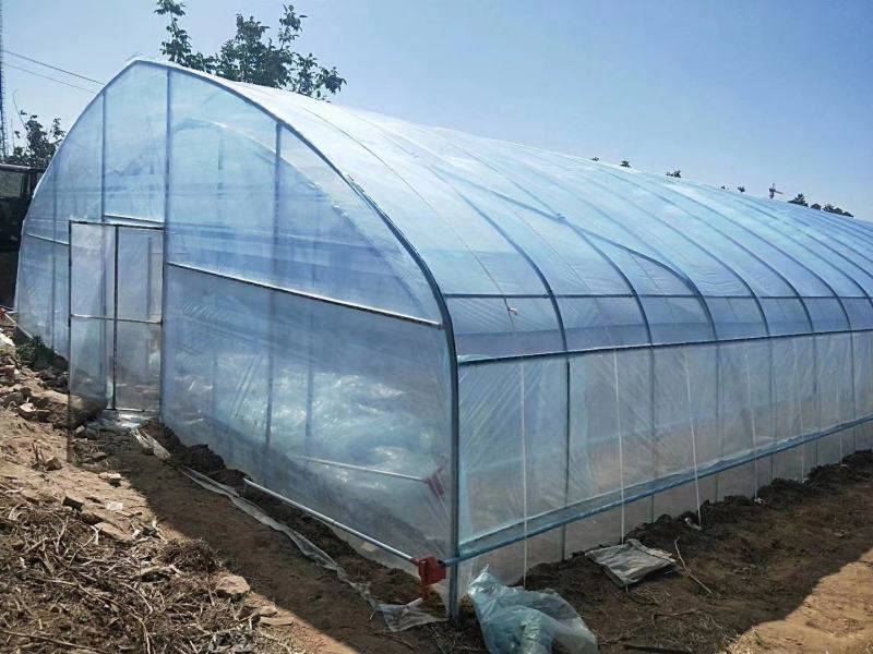种植型大棚简易插地棚半坡型暖棚拱形暖棚