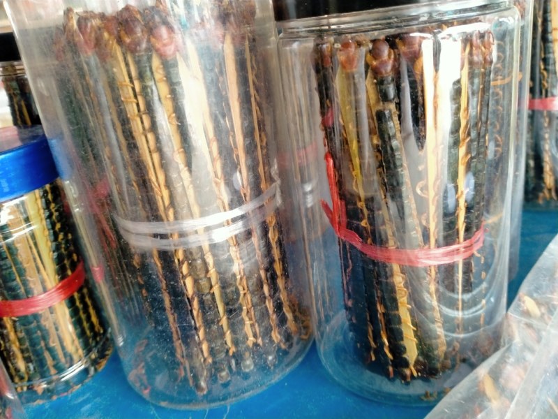 蜈蚣！蜈蚣大货批发零售一手货源！品质好价格优！
