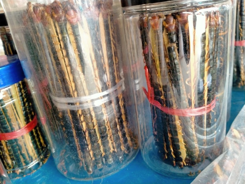 蜈蚣！蜈蚣大货批发零售一手货源！品质好价格优！