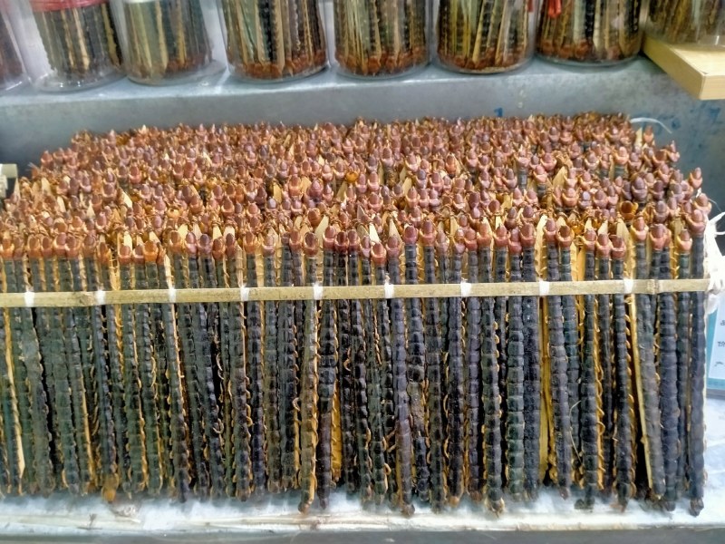 蜈蚣！蜈蚣大货批发零售一手货源！品质好价格优！