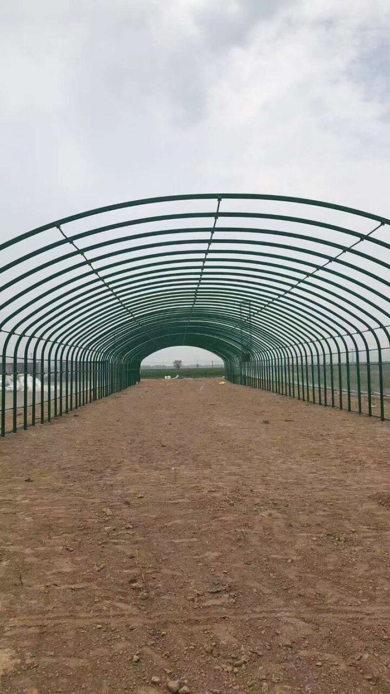 新型养殖大棚，椭圆管镀锌包塑骨架养牛，养羊大棚