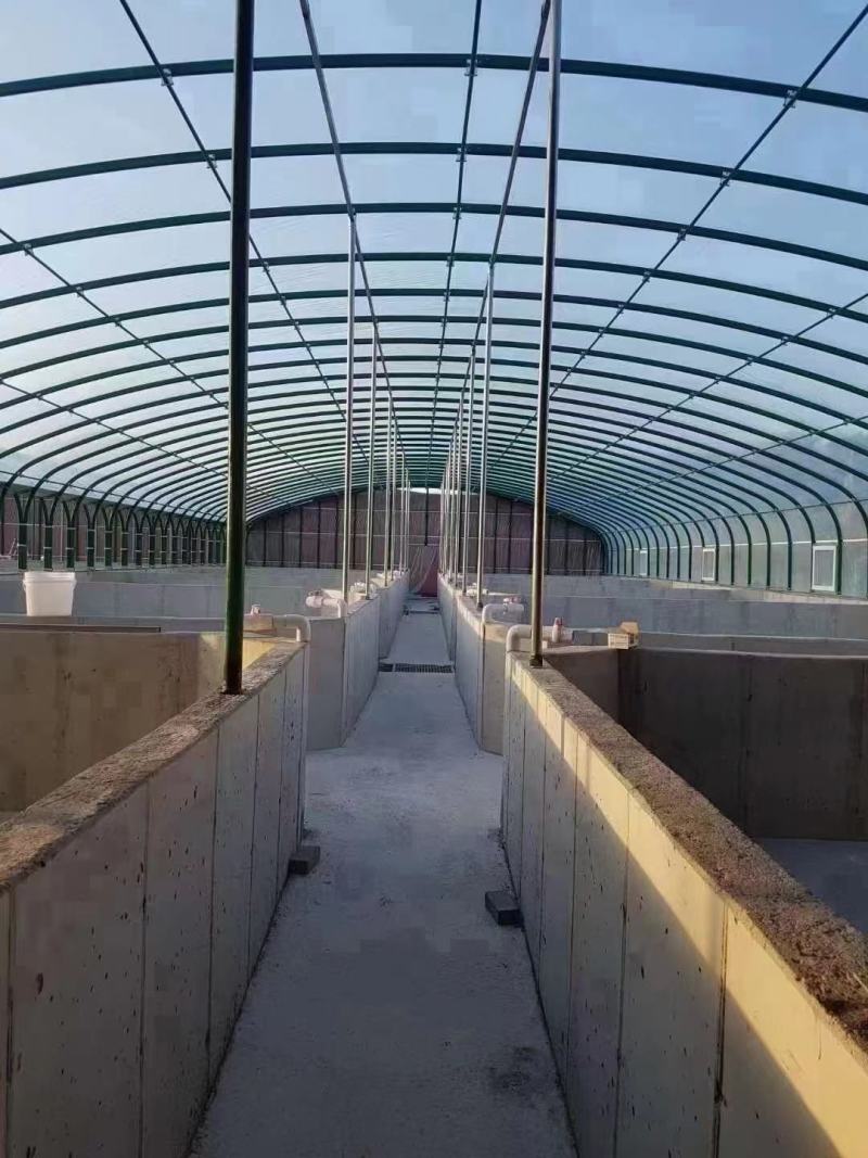 新型养殖大棚，椭圆管镀锌包塑骨架养牛，养羊大棚